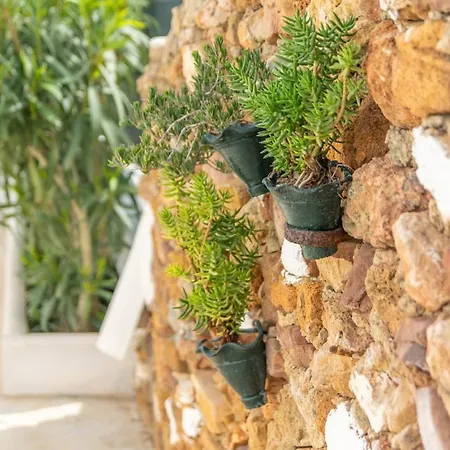 Casa Dina-villa Con Piscina Privada Y Wifi Gratis فيلة إيز ميركاذال